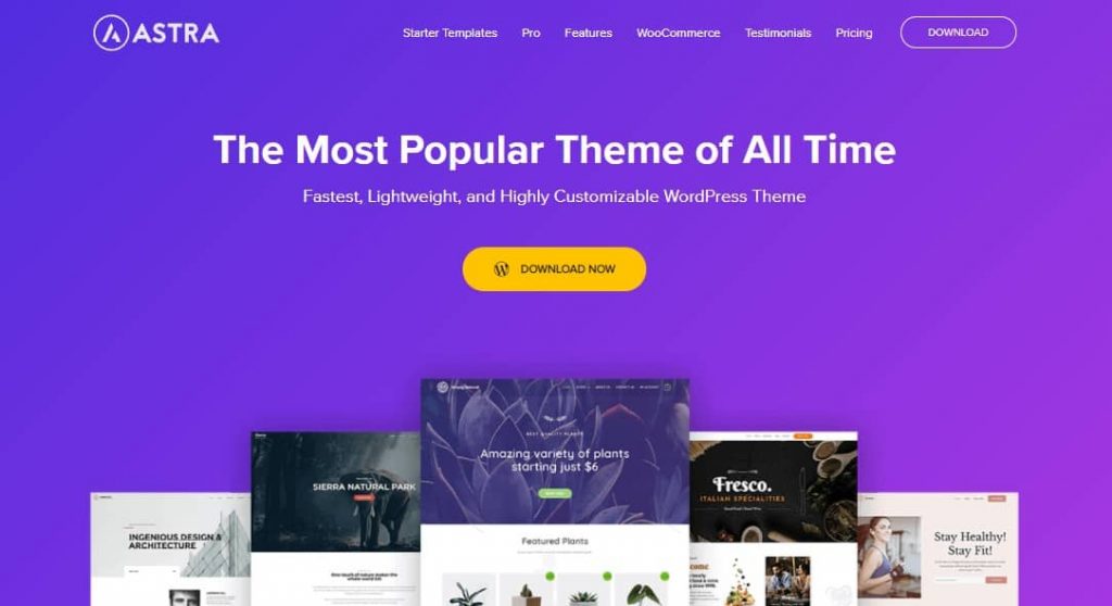 Astra minimal theme