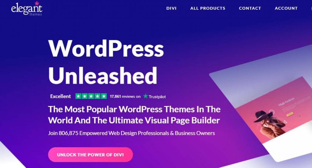 Divi wordpress minimalist themetheme