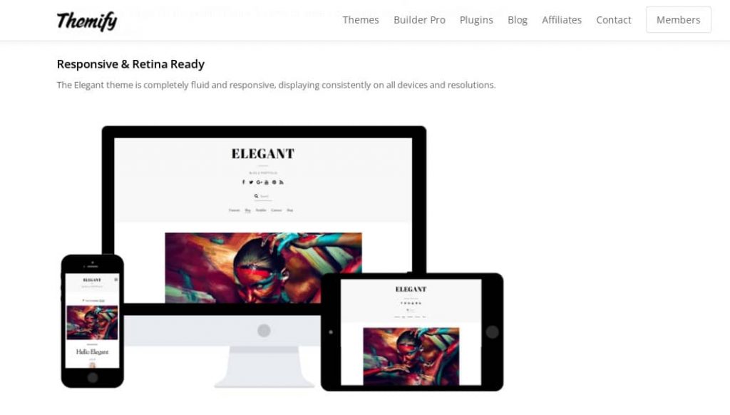 Elegant theme by Themify